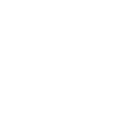 Bmw logo